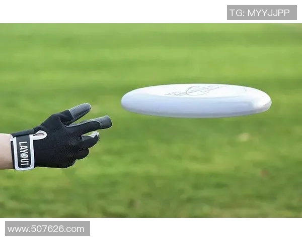 飞盘装备选购指南：如何选择适合的攀岩绳以提升运动体验