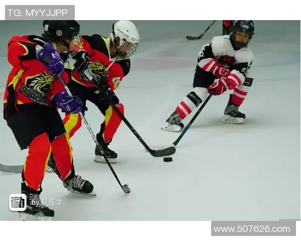 北京排球队力压群雄创新高势头引发关注与期待