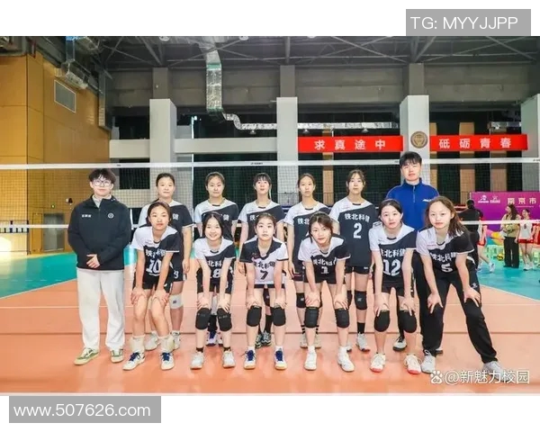 南京排球队的战术转型与深度解析探寻排球竞技的魅力与挑战