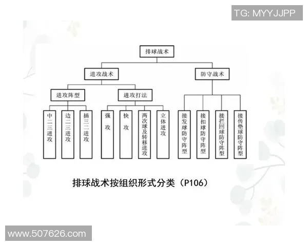 杭州排球队灵活性排名创新高展现团队实力与战术创新