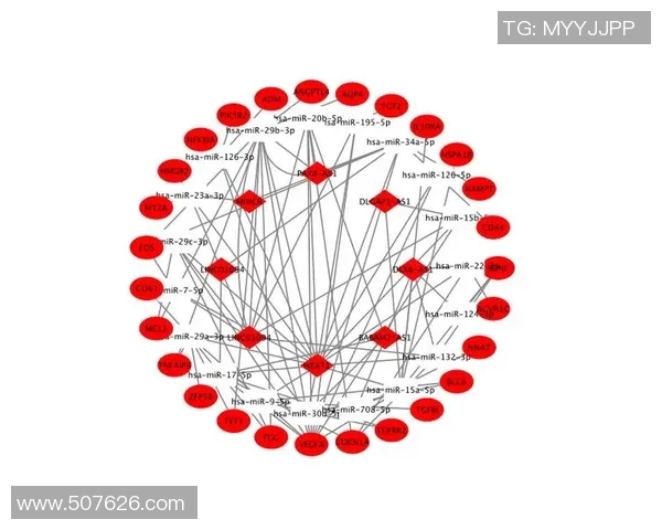 深圳乒乓球队速度表现的数据分析与提升策略探讨